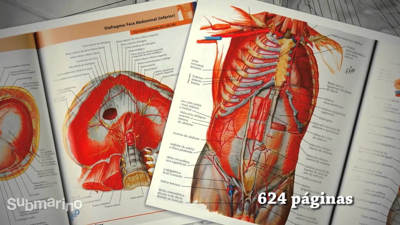 atlas de anatomia humana 3d